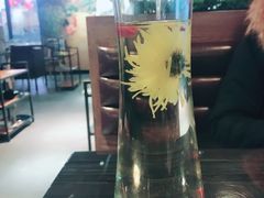 -东椰·海南椰子鸡火锅(朝阳门店)