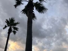 -咸德海水浴场