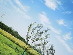 -汉长安城未央宫国家考古遗址公园