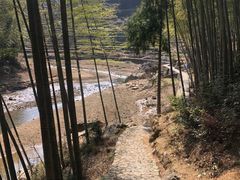 -泽雅七瀑涧景区