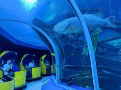 -珠海长隆海洋王国