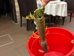 -凤城礼记鱼翅海鲜酒家(新马路总店)