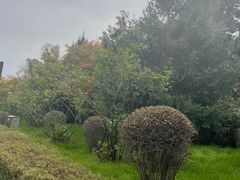 -长春市南湖公园