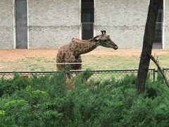 -石家庄市动物园