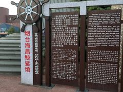 -烟台海昌鲸鲨海洋公园