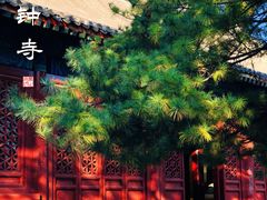 -大钟寺古钟博物馆