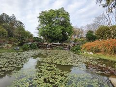 -东莞植物园