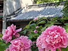-潭柘寺景区