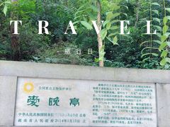 -岳麓山风景名胜区