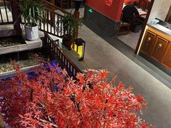 -真定郝家排骨(正定县总店)