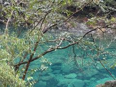 -石台牯牛降景区