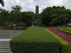 -红花山公园