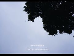 -越秀西湖花市(广州城市广场花卉店)