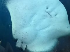 -暹罗海洋世界