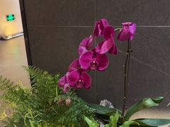 -翁暖茶馆(滨江东总店)