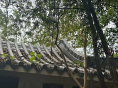 -水濂山森林公园