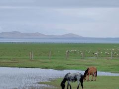 -青海湖国家重点风景名胜区