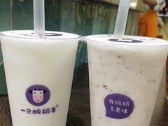 -一只酸奶牛(益州国际店)