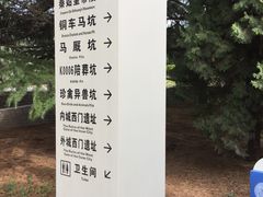 -秦始皇帝陵博物院-丽山园