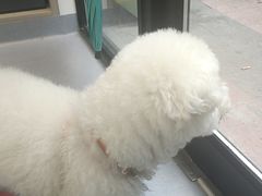 -宠物星动物医院·眼科·异宠·猫科(江南大道总院)