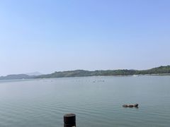 -天目湖山水园