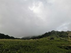 -白草畔自然风景区