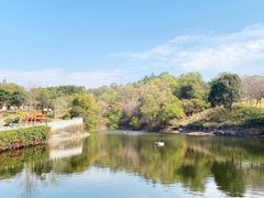 -广州莲花山旅游区