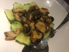 大拌红岛海螺-开海·红岛海鲜虾水饺(石老人店)