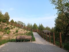 -白水寺森林公园