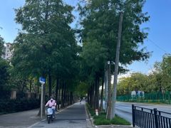 -上海长兴岛郊野公园
