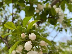 -元大都城垣遗址公园