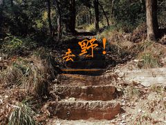 -青龙山国家森林公园
