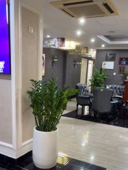 -深圳阳光医疗美容医院·旗舰店