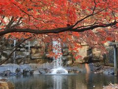 -关门山森林公园