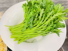 茼蒿-南门涮肉(上海二店)