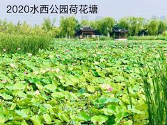 -水西公园