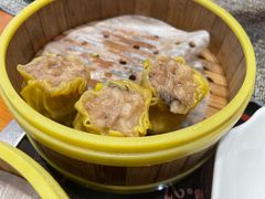 -国家五钻酒家·西樵旺阁渔村(西樵店)