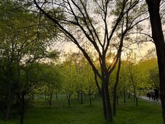 -北陵公园