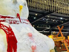 -宁波冰雪大世界(北仑区)