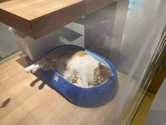 -上海K11购物艺术中心