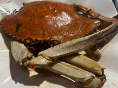 -老号尤兔头(幸福店)