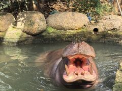 -宁波野生动物园