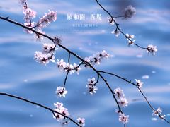 -颐和园