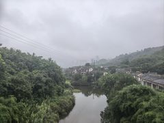 -张坝桂圆林公园