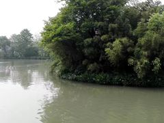 -太极禅苑