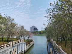 -海珠湖公园