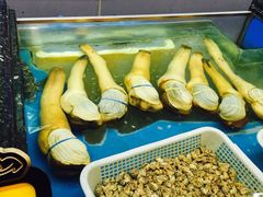 -万宝海鲜舫(劳动公园店)