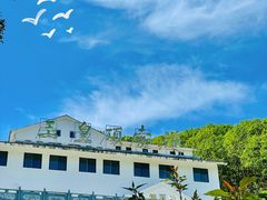 -洛阳白云山景区