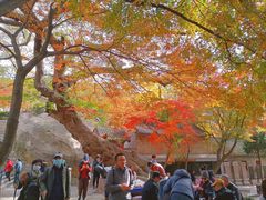 -青岛崂山太清宫