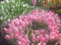 -循礼门鲜花花市(武汉循礼门店)